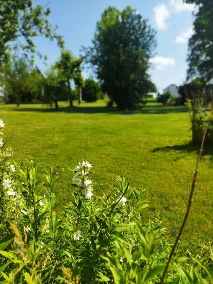 Gite A Brouca Gouvy Esterno foto